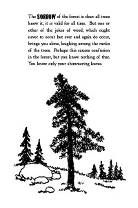 46-Sorrow-of-the-Forest