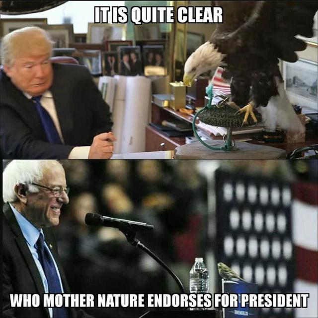 birdie-sanders-vs-trump